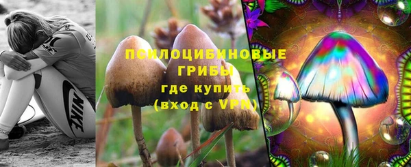 apvp Краснослободск