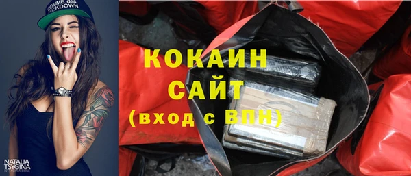 apvp Краснослободск