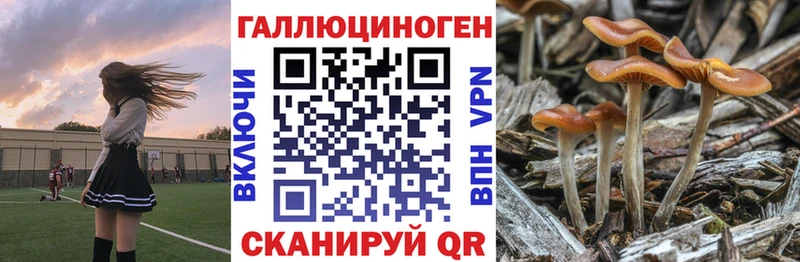 Купить  Егорьевск  Галлюциногенные грибы GOLDEN TEACHER 